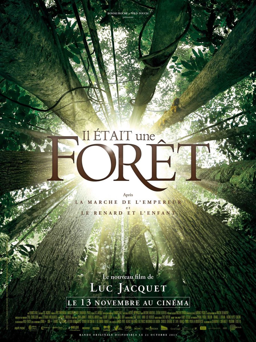 Festival cinéma plein air - Les Nuits étoilées