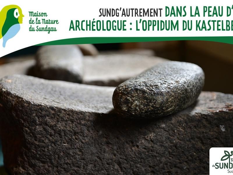 Dans la peau d'un archéologue - L'oppidum du Kastelberg