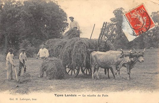 Causerie "Fenaisons et prairies usagères en Chalosse du Moyen-Age à nos jours"