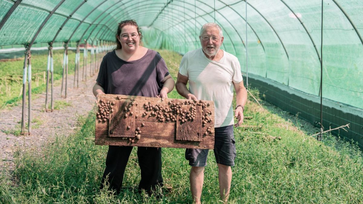 La ferme aux escargots