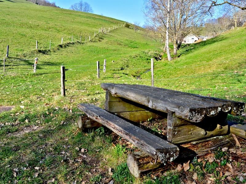 Aire de pique-nique - Sous le col de Chamont
