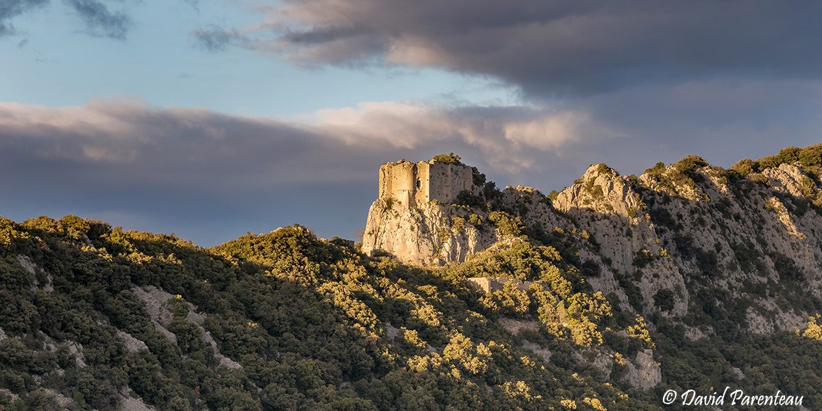 DAVID PARENTEAU PHOTOGRAPHIE