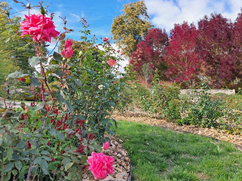 Jardin des 5 sens - Parc de la Maison Marret