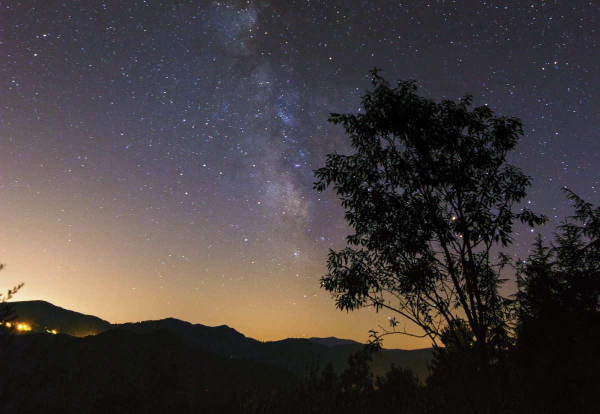 UN ÉTÉ AVEC LE PARC : LA NUIT RÉVÉLÉE