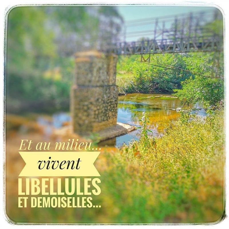 Les bords de l'Isle