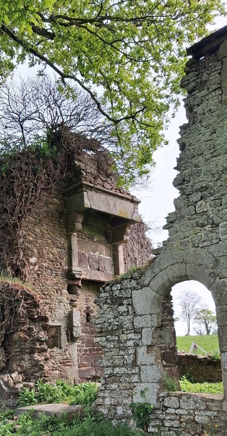 Journées Européennes du Patrimoine > Visite guidée les Ruines de Guesclin