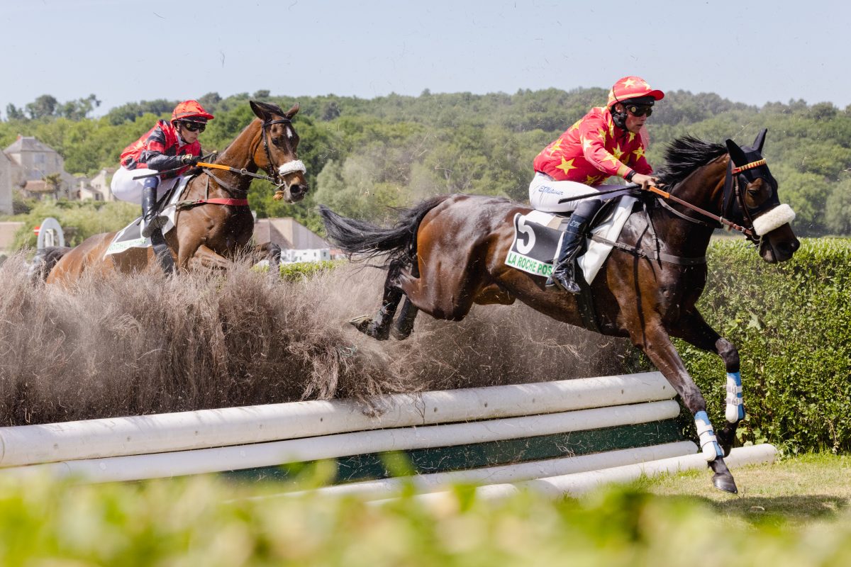 Courses hippiques Trot/Obstacle