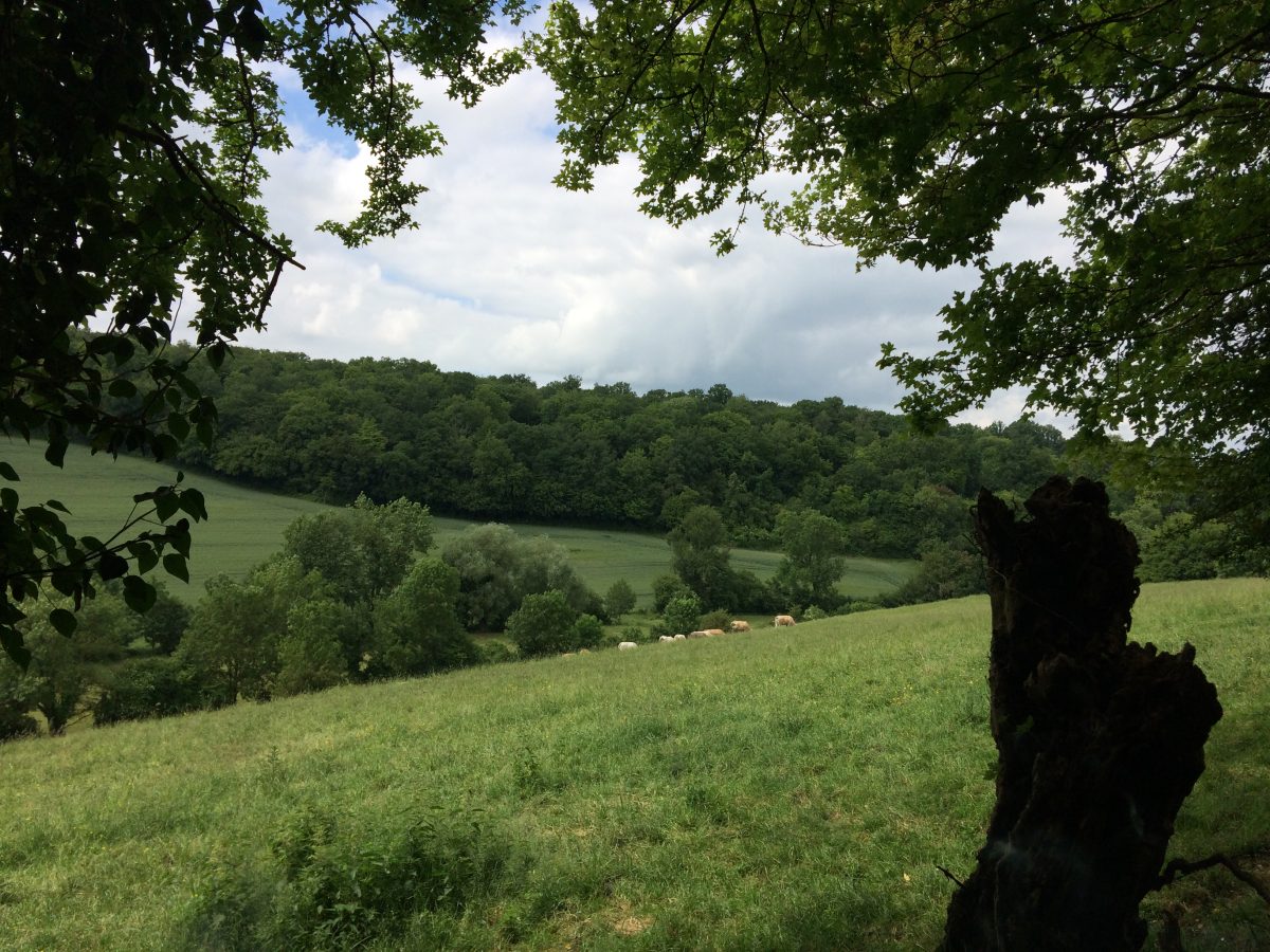 Aire de pique nique de Monceaux l'Abbaye