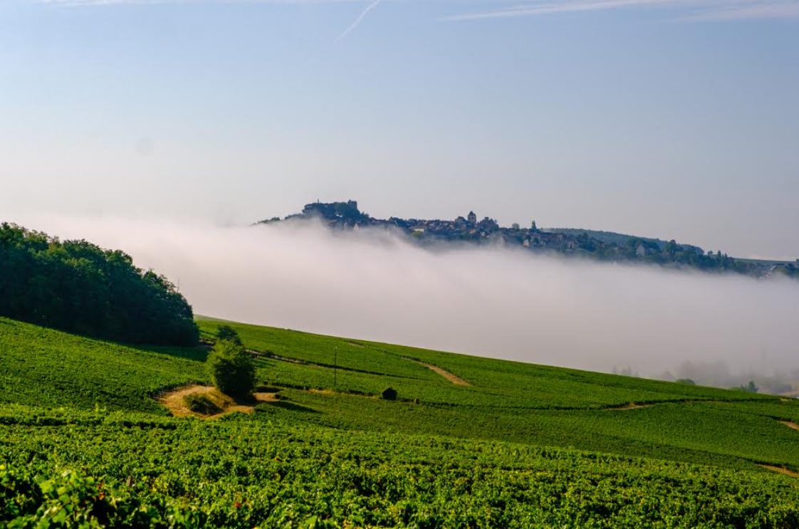 Escapade au Coeur des Parcelles