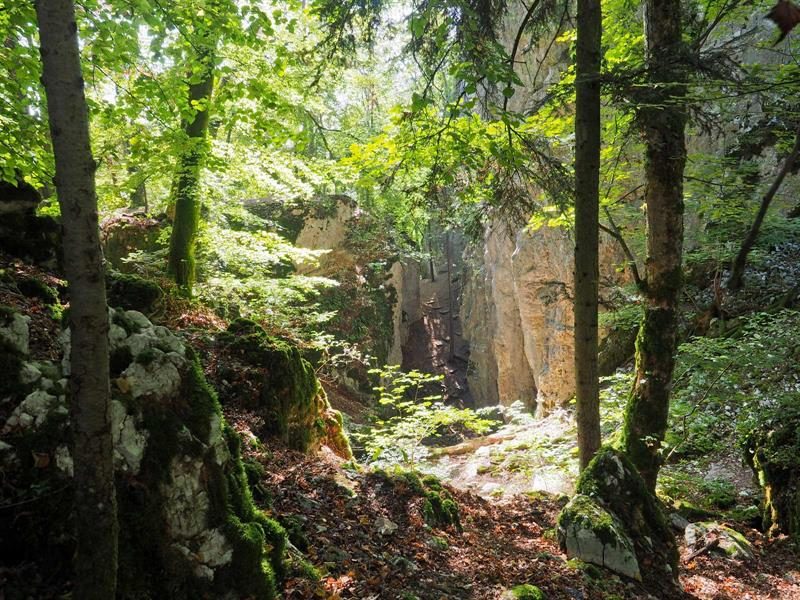 La grotte des nains de Ferrette