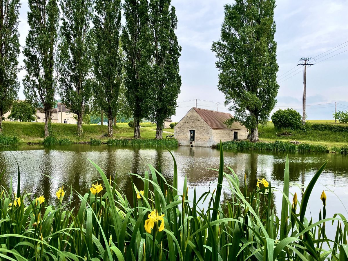 Étang et lavoir de Saulx-la-Ville