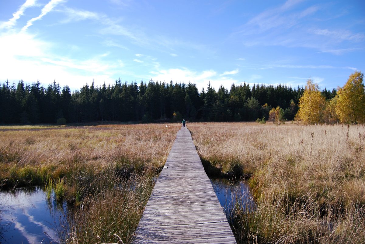 PLATEAU DE CHARPAL