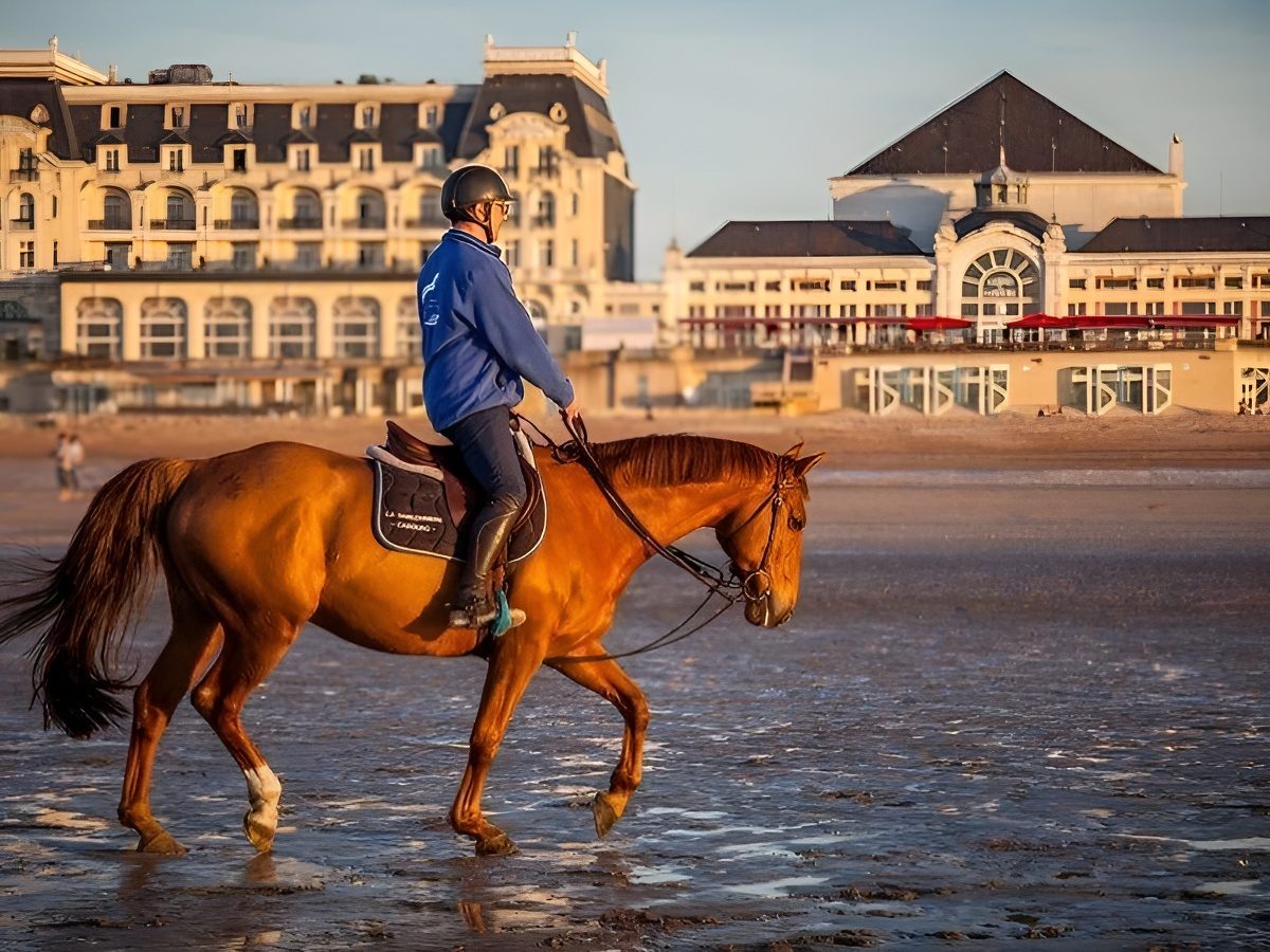 Promenade sur la plage - Pôle Équestre la Sablonnière