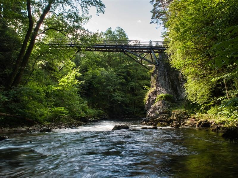 Les gorges de Crosery