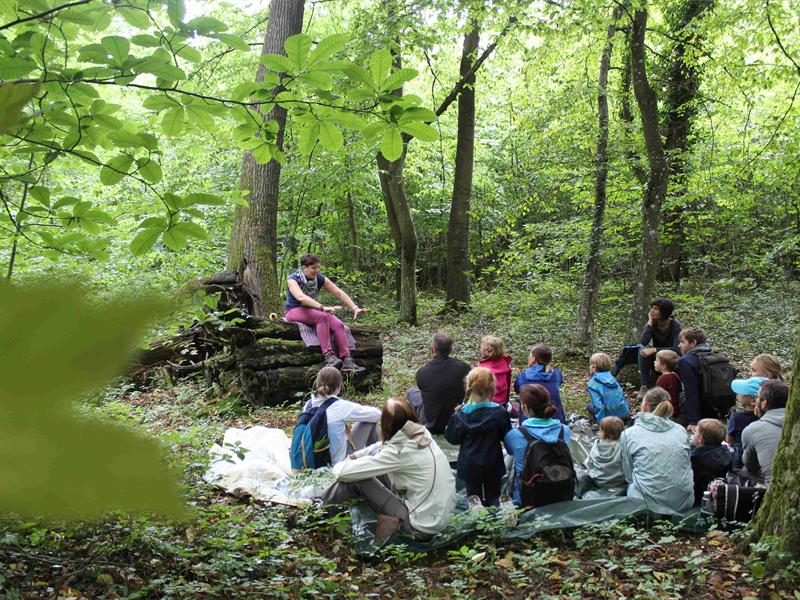 Balade contée Echos de la forêt
