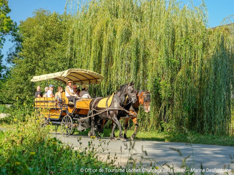 Promenade en calèche - Loches et Beaulieu-Les-Loches