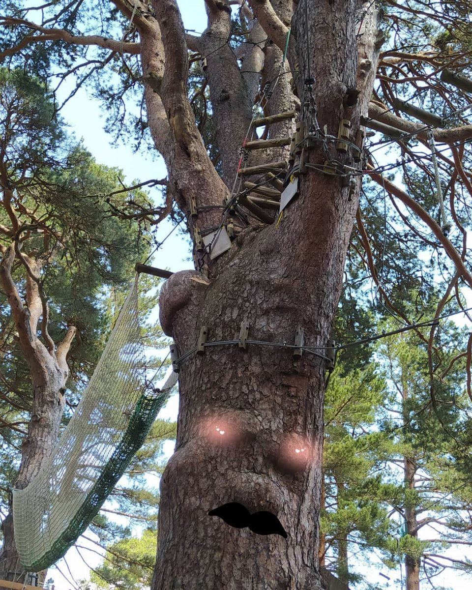 REFUGE DE L'OURS - PARCOURS AVENTURE - ACCROBRANCHE
