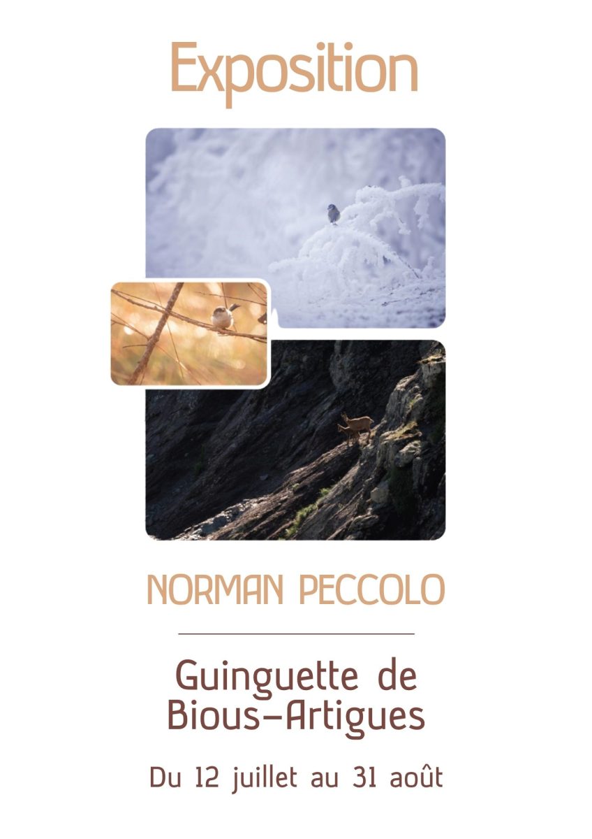 Exposition : Norman Peccolo - photographe sauvage