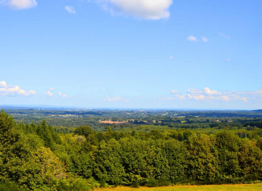 Le Grand Puyconnieux