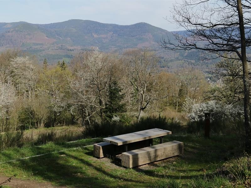 Aire de pique-nique Au Pays des Bûcherons - point de vue