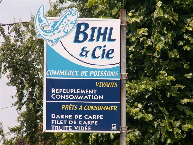 Exploitation piscicole Bihl