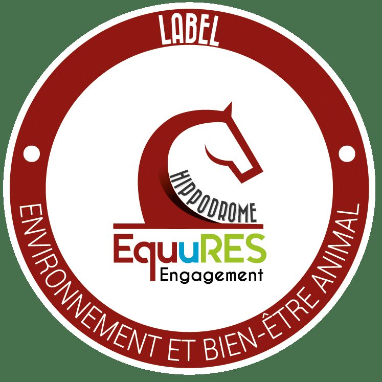 Courses hippiques - Tout galop