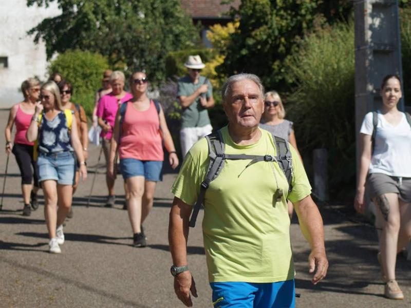 Randonnée accompagnée dans les Vignes