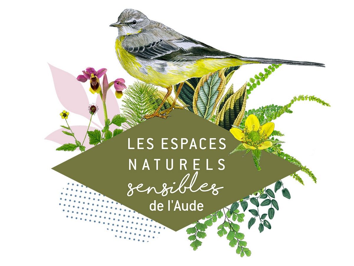 ENS - PETITE REINE POUR GRANDS ESPACES !