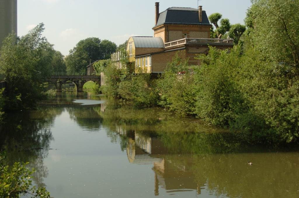 La beuquette du pat' : comme un poisson dans l'eau