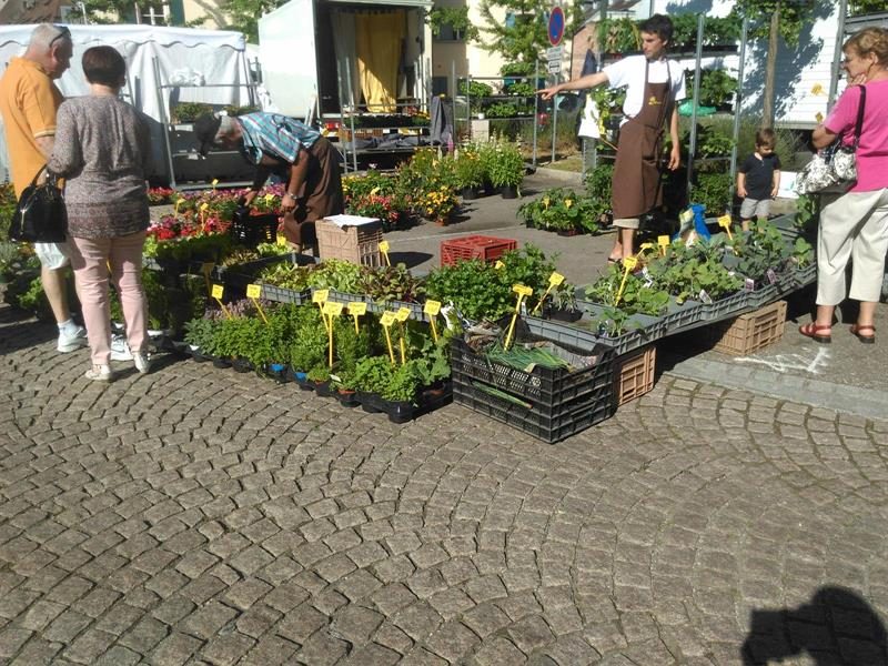 Marché mensuel de Hirtzbach