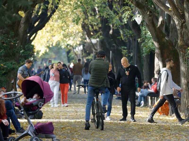 Cirk'en Rue