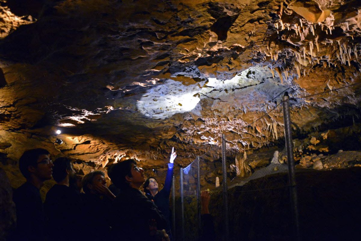 Percez le mystère des grottes de la Norée
