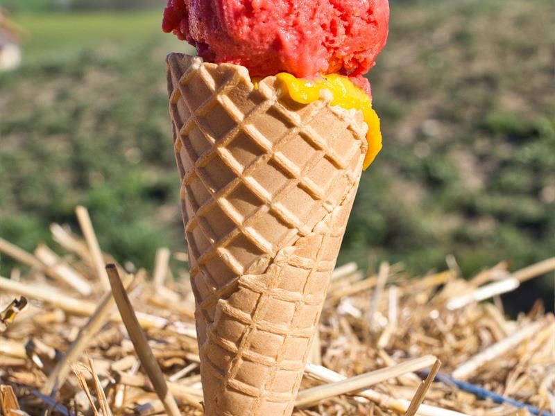 Val d'Ornain - Glaces artisanales et produits laitiers