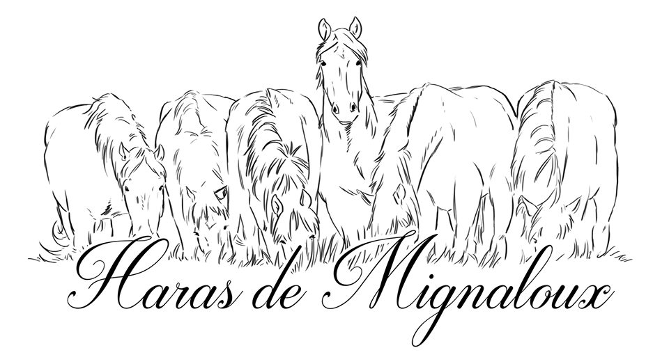 Haras de Mignaloux