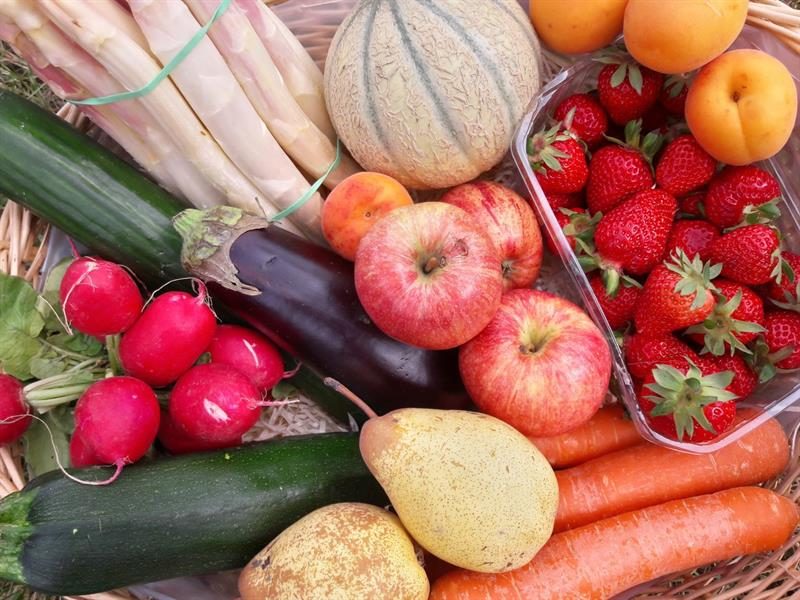 Exposition fruits, fleurs et légumes