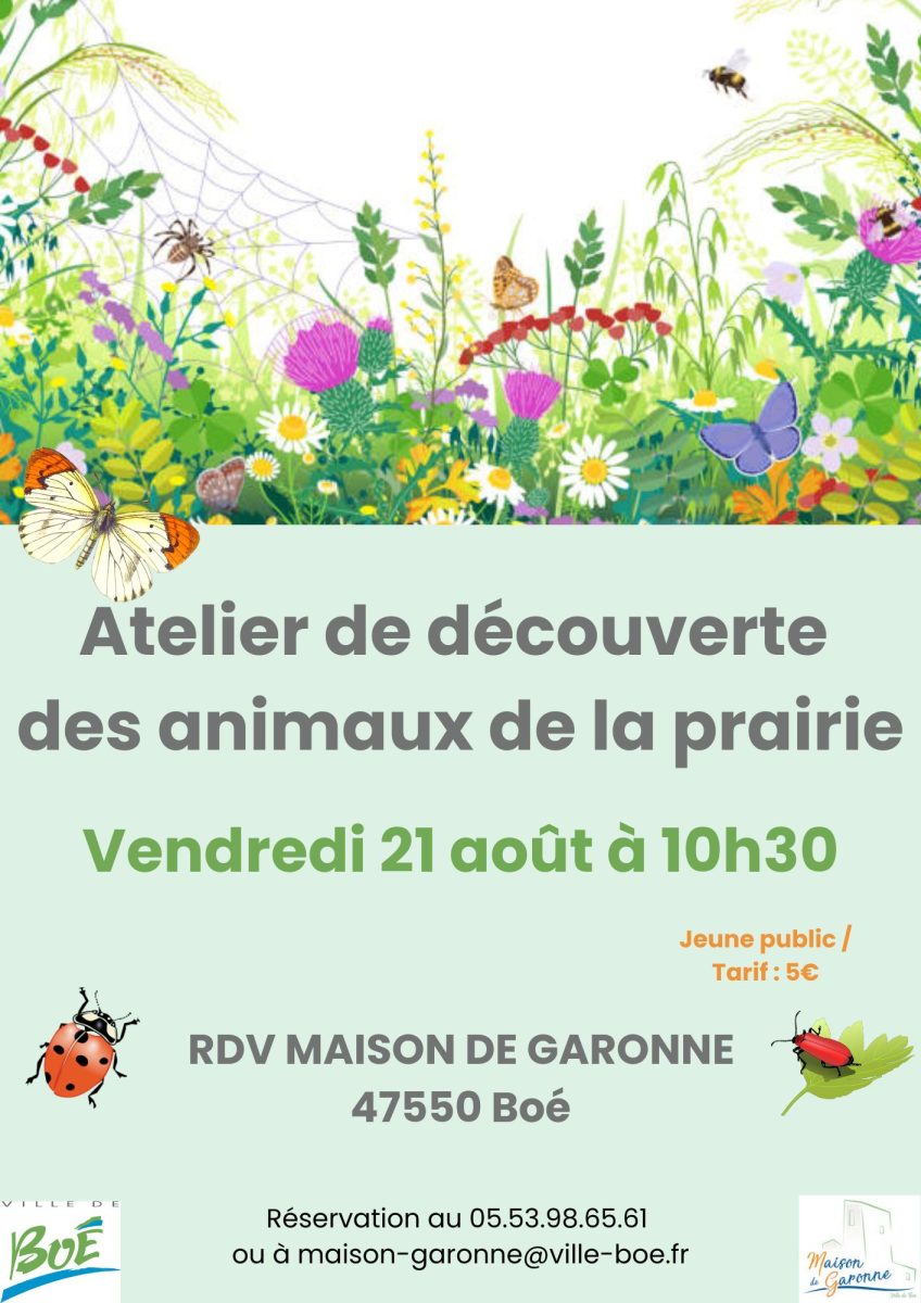 Atelier découverte de la microfaune de la prairie