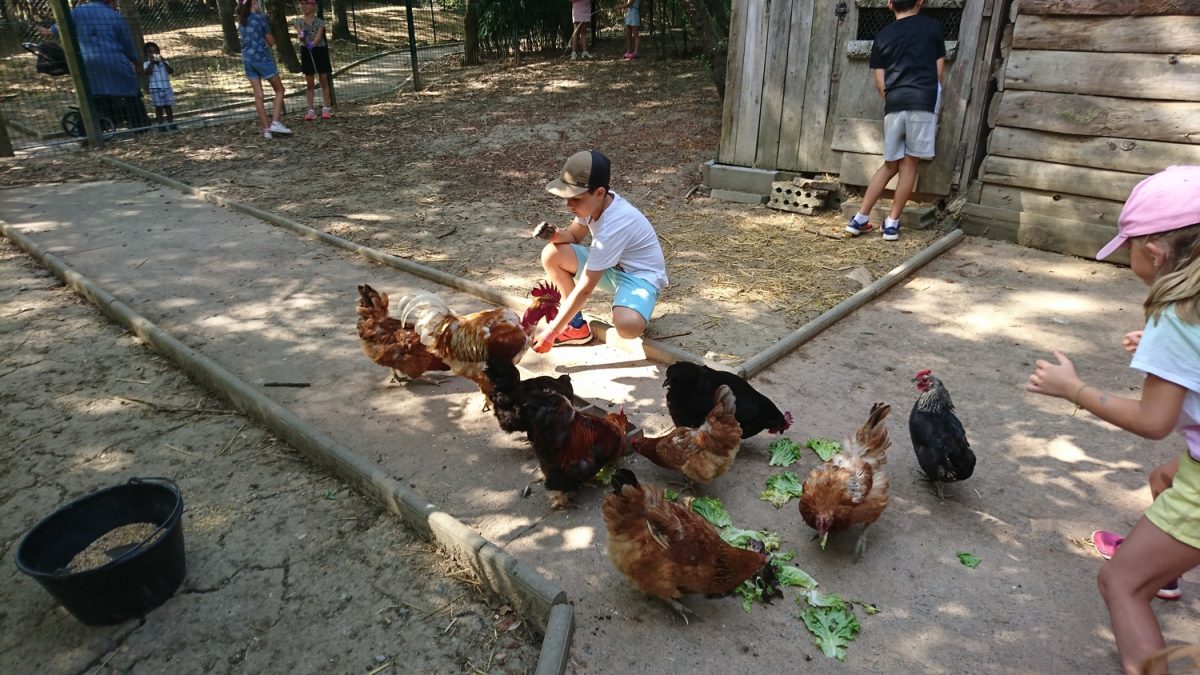 FERME DE CINQUANTE