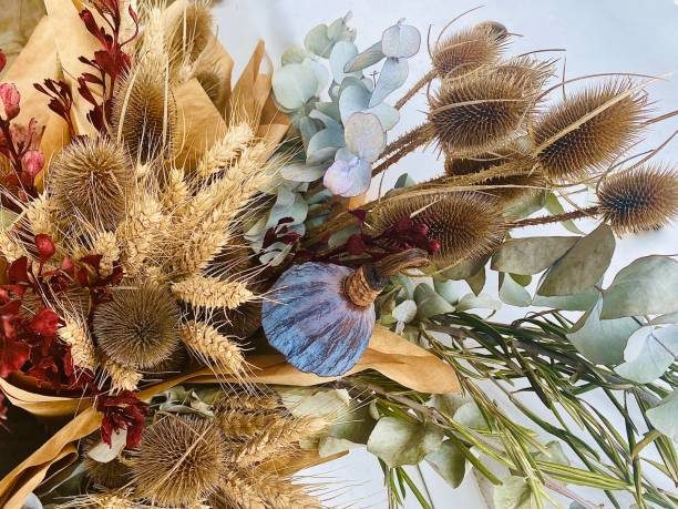 L'été de l'Office : Atelier création nature et contemporaine de fleurs fraîches (complet)