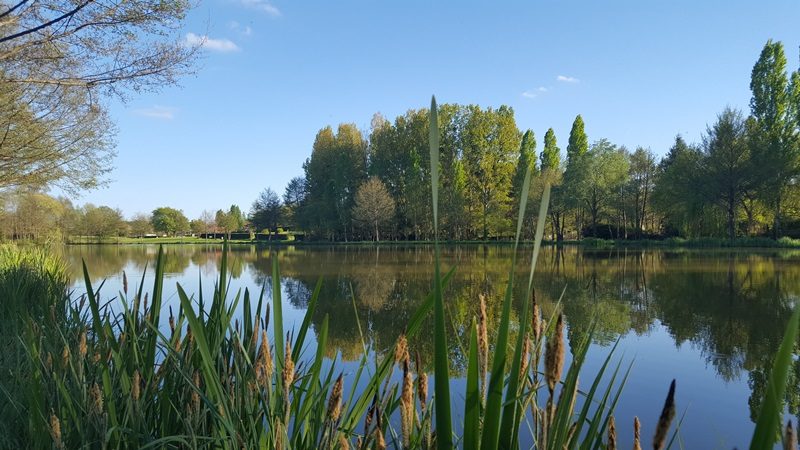 Pêche à l'étang communal de la Potinière
