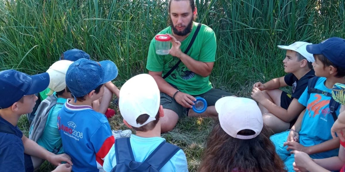 Découverte des petites bêtes des Tourbières