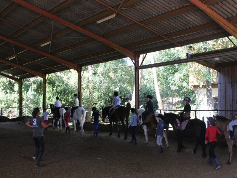Centre équestre de Mios