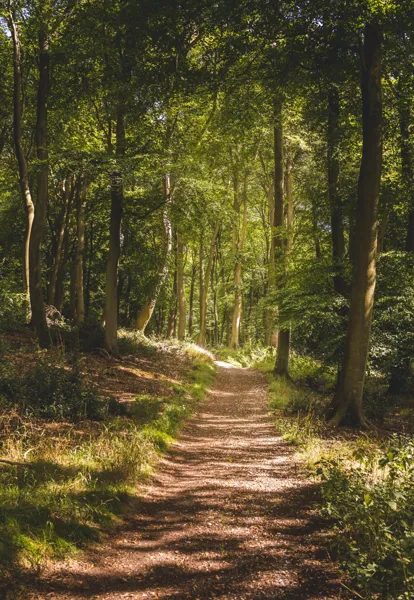 Rencontre : "Réchauffement climatique : comment la forêt va t-elle s'adapter ?", à Aubrac