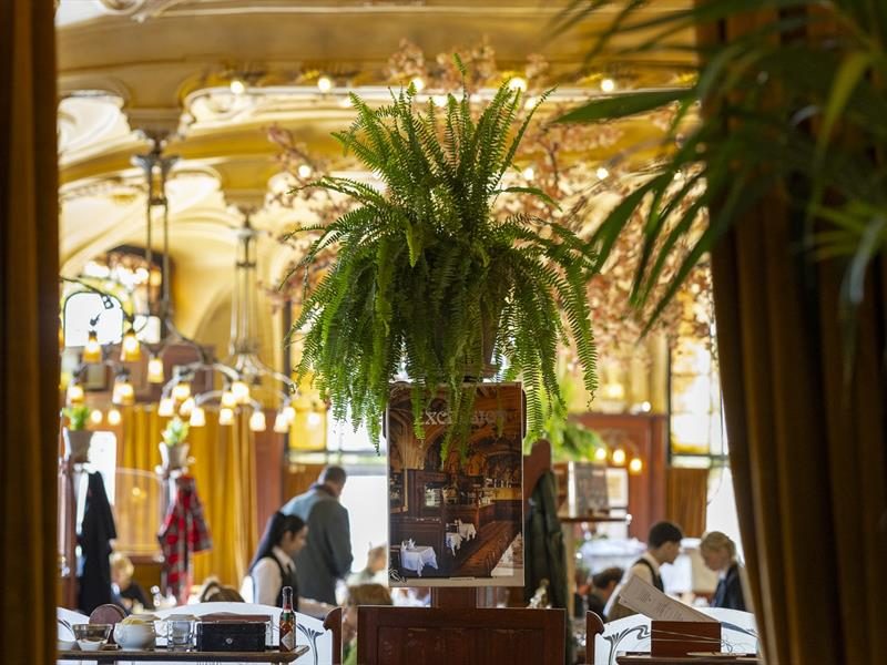 Brasserie Excelsior