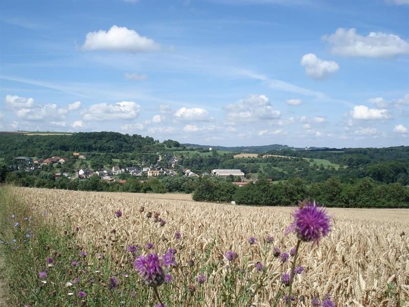 Fête du village
