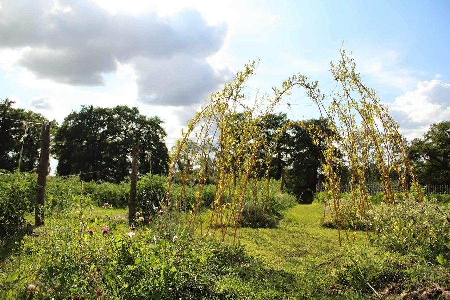 ô jardin des chênes