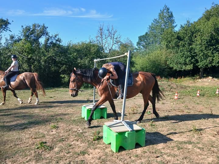 Cavalier Autrement : découverte de PTV