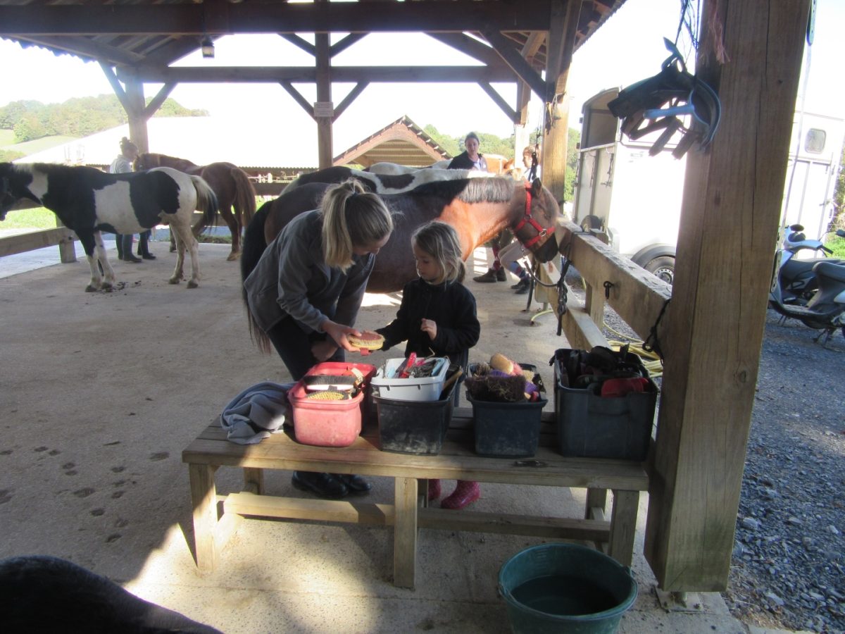 Le Cheval de 3