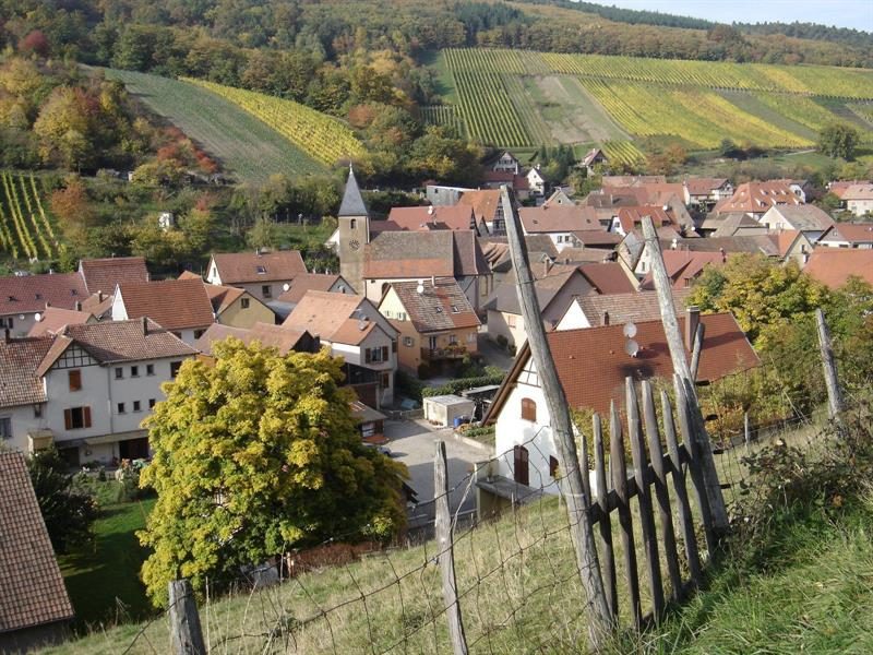 Vins GEIGER KOENIG Simone