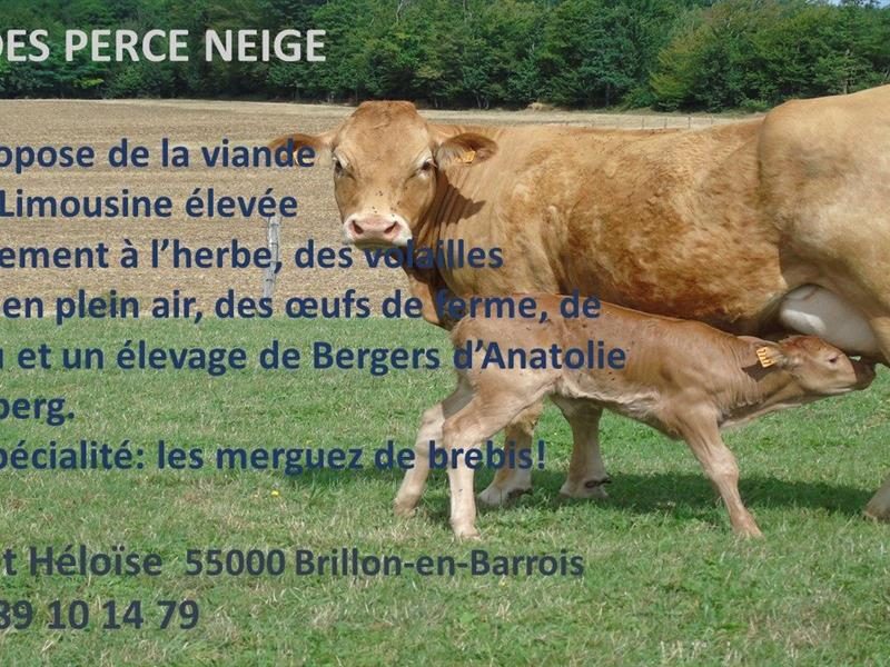 Ferme des Perce-Neige
