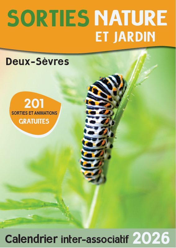 SORTIE NATURE : DÉCOUVREZ LES LAVOIRS ET LEURS SALAMANDRES